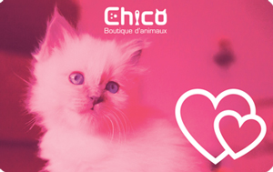 allotest Physical Gift Card #7